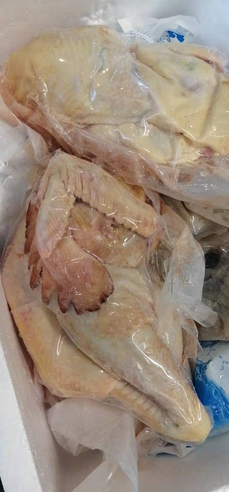 鲜土鸡