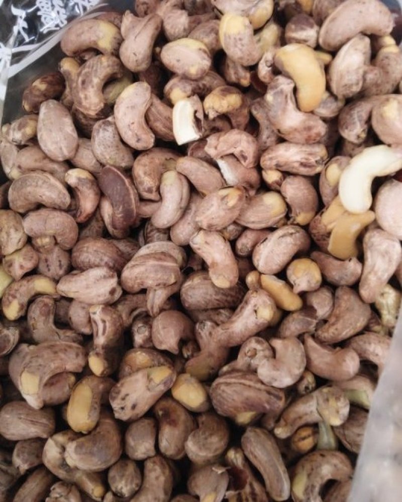 紫衣腰果