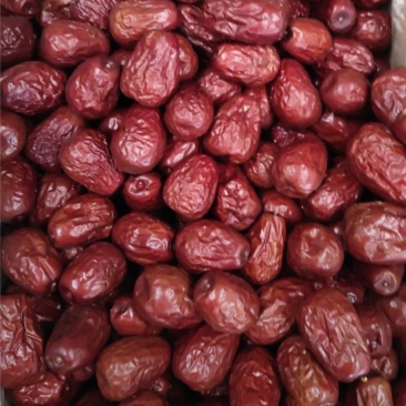 红枣