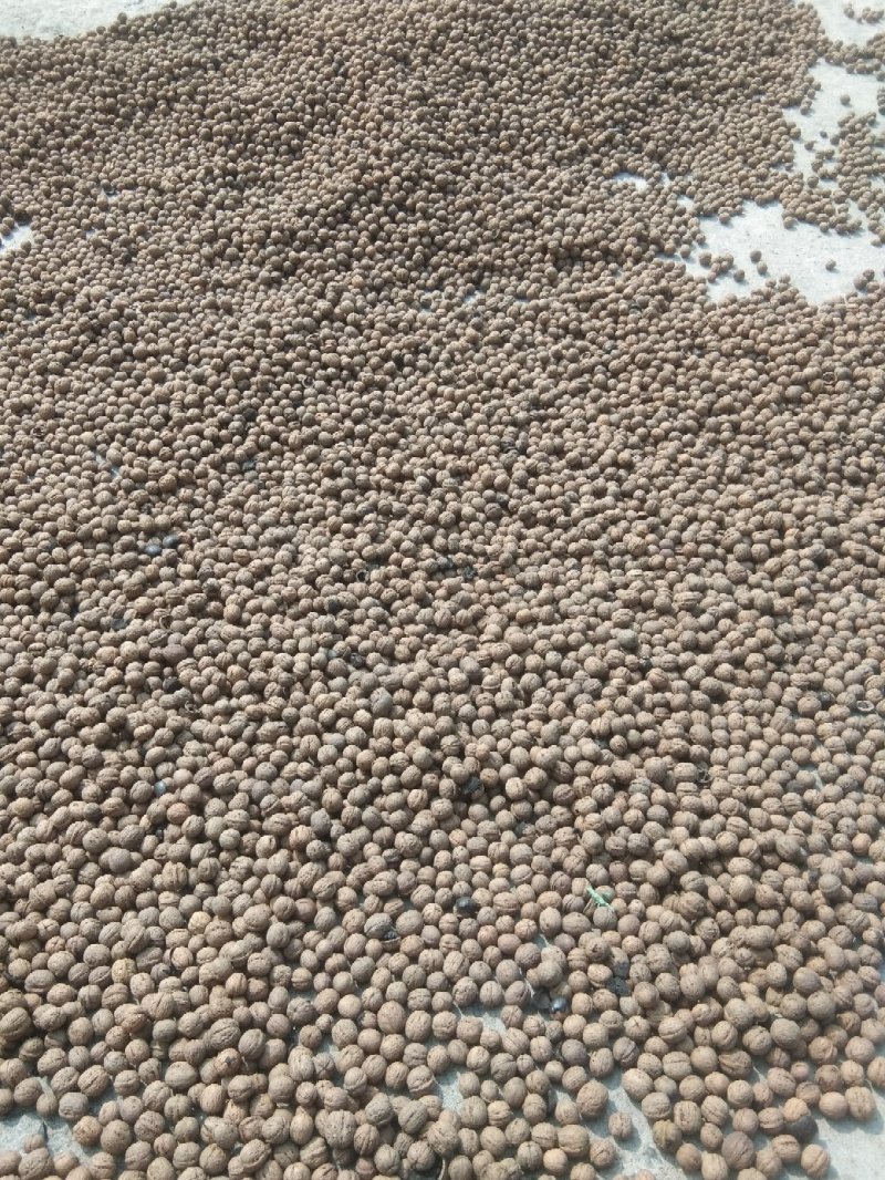 辽系核桃薄皮核桃棉核桃各种优质核桃