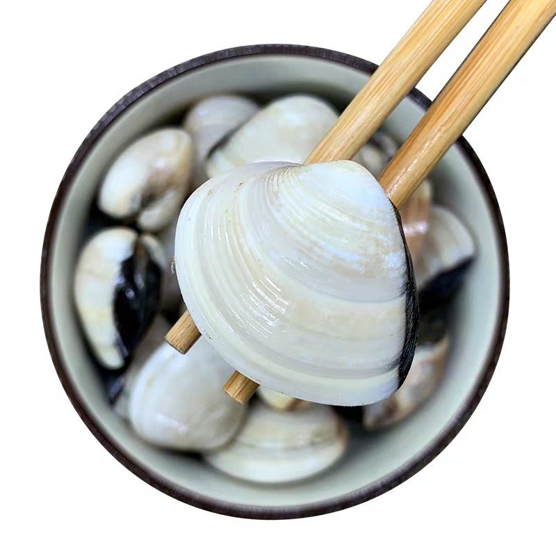 白贝，道地药材，质优价实，品质保证，药典标准一公斤起批