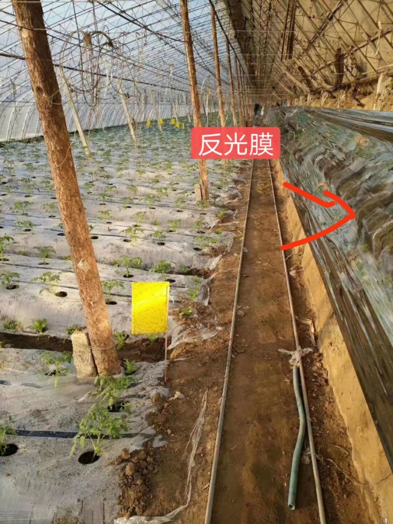 反光膜！！！！！！！！！
