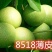 8518薄皮核桃树苗真品种高产量南北方种植成活率高
