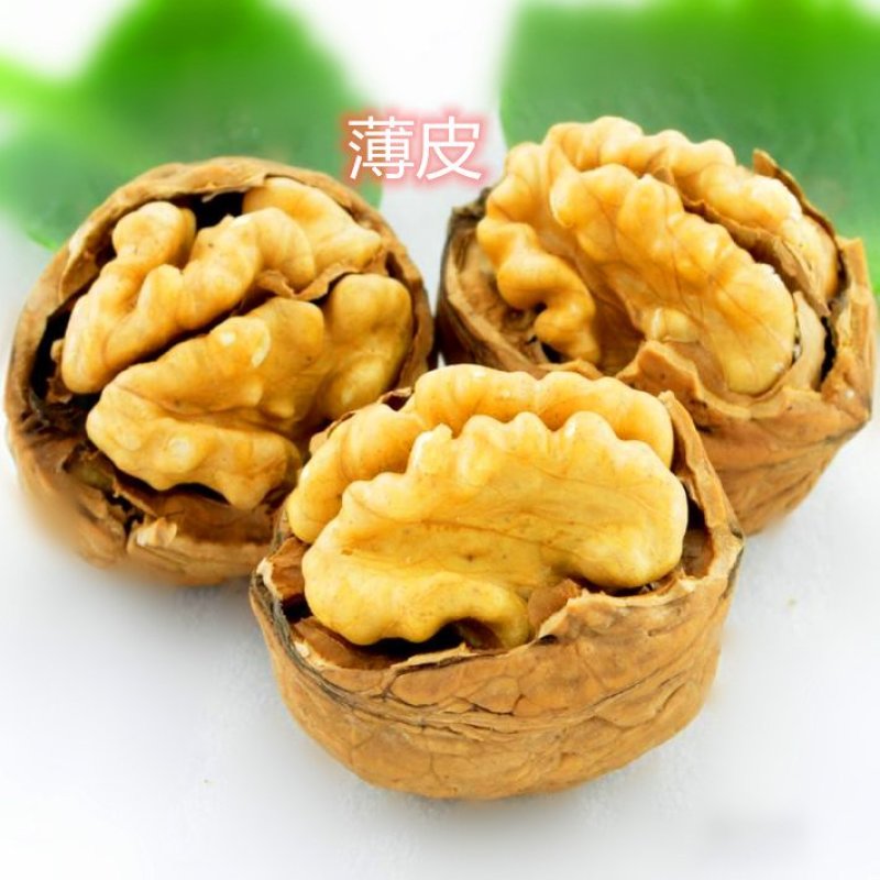8518薄皮核桃树苗真品种高产量南北方种植成活率高