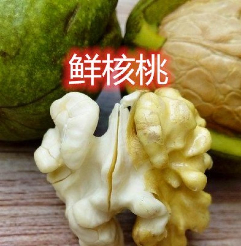 8518薄皮核桃树苗真品种高产量南北方种植成活率高
