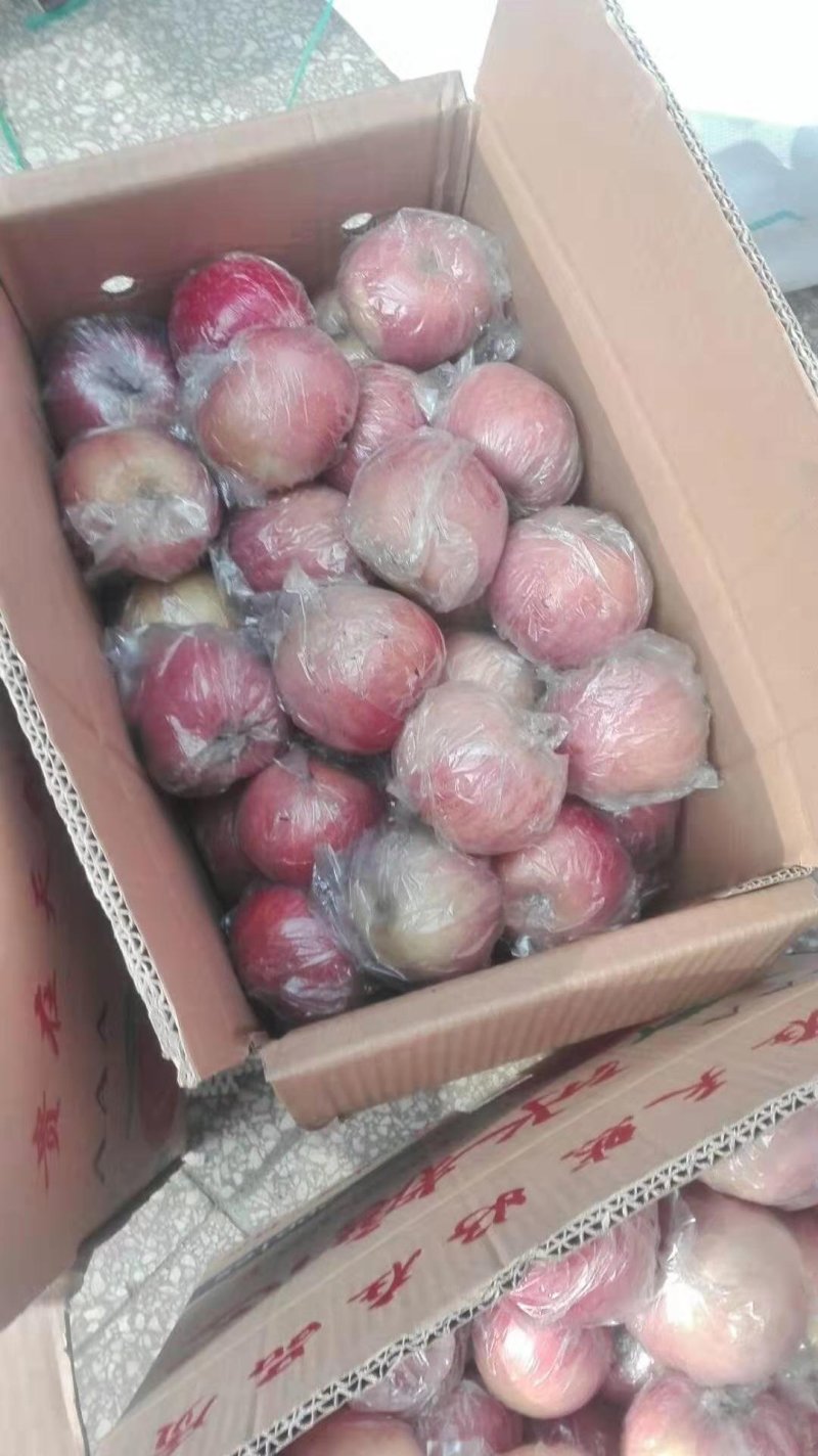 冰糖芯富士苹果潍坊膜袋红富士苹果自产自销价格便宜