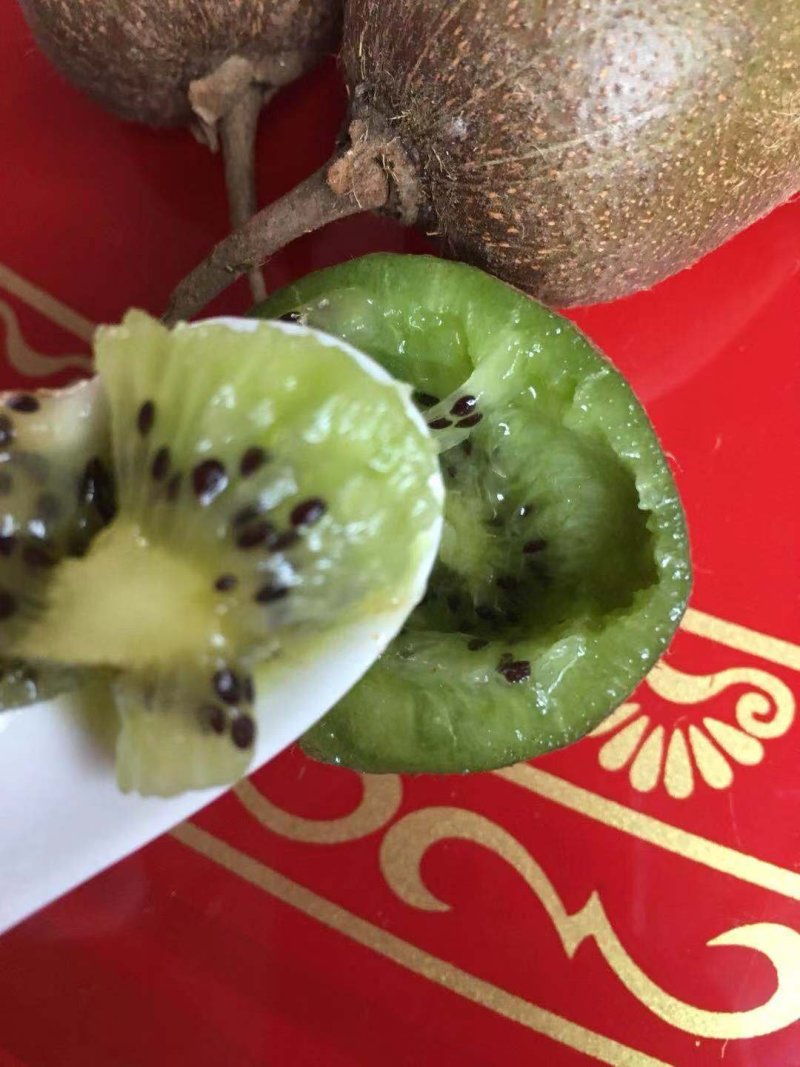 正宗蜜猴桃