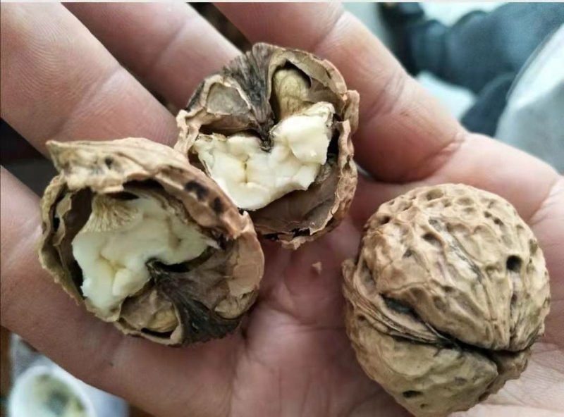 核桃，薄皮核桃，2斤包邮