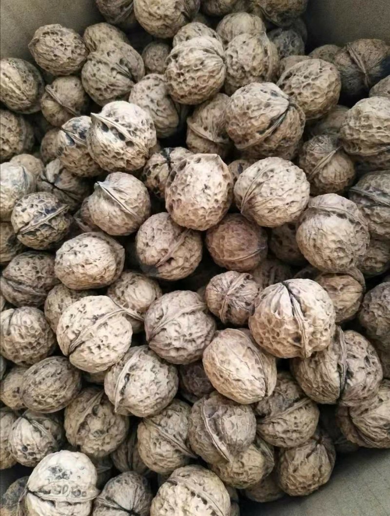 核桃，薄皮核桃，2斤包邮