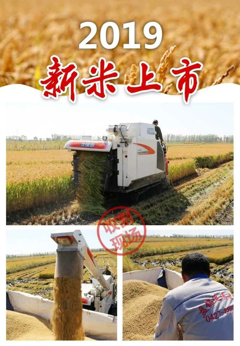 正宗东北大米五常稻花香农民自产，产地直发包邮