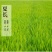 东北大米东北大米东北大米