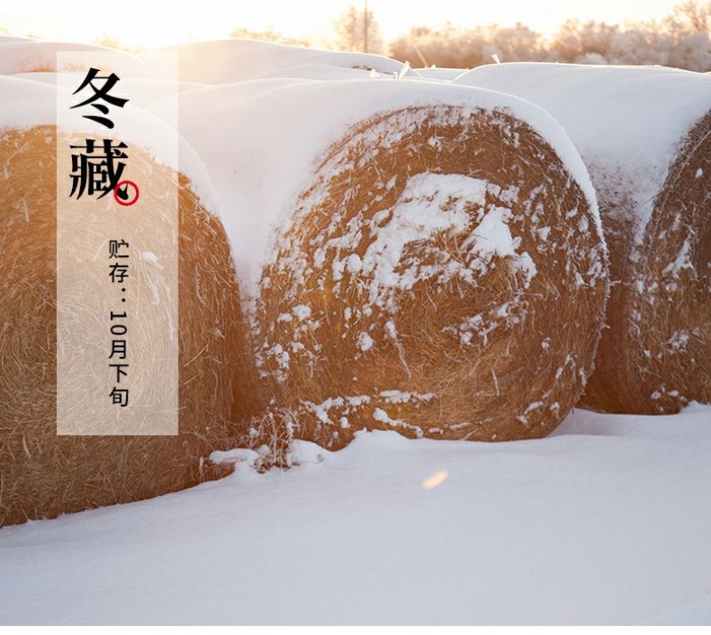 东北大米东北大米东北大米