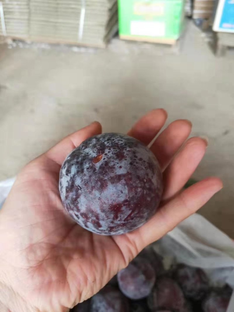 李子