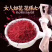 伊朗进口特级藏红花女人花各种规格藏红花产地批发，一手货源