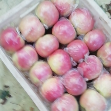 斗南，花红，果红