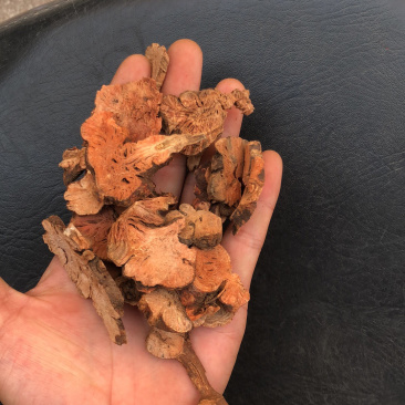 中药材今年新货金荞麦片型好无硫