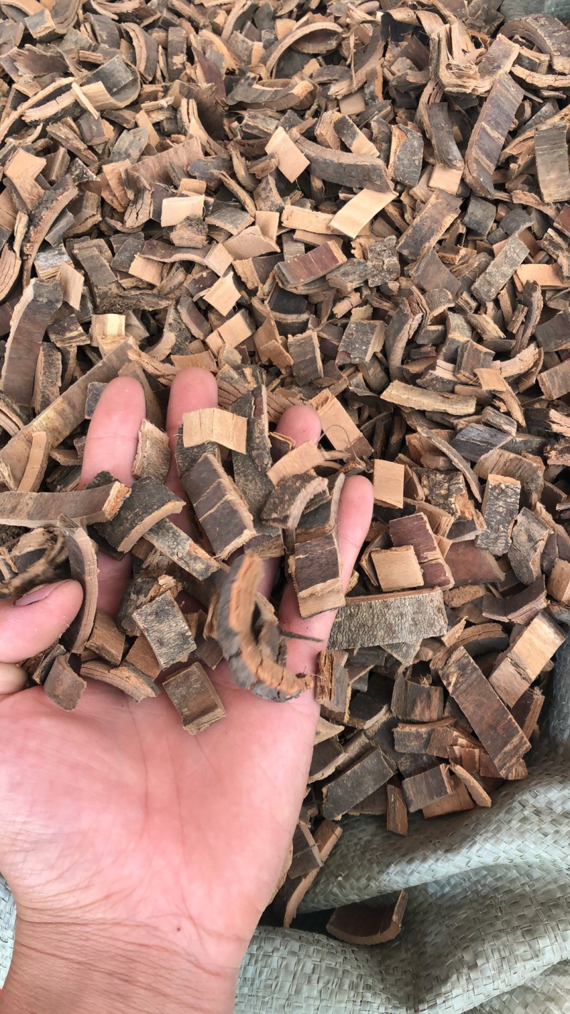 木秦皮新货货好物美价廉