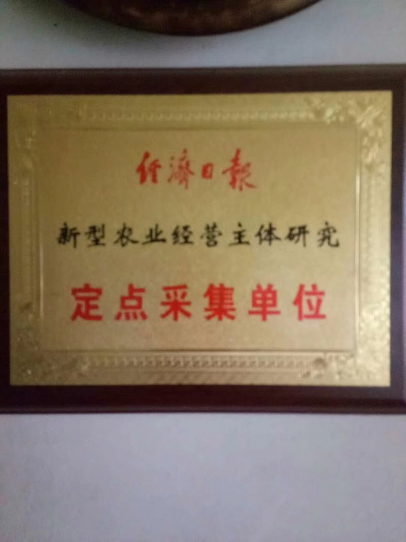 霸州市霸州镇高欢养鸡场！，林地散养华北柴鸡柴鸡蛋