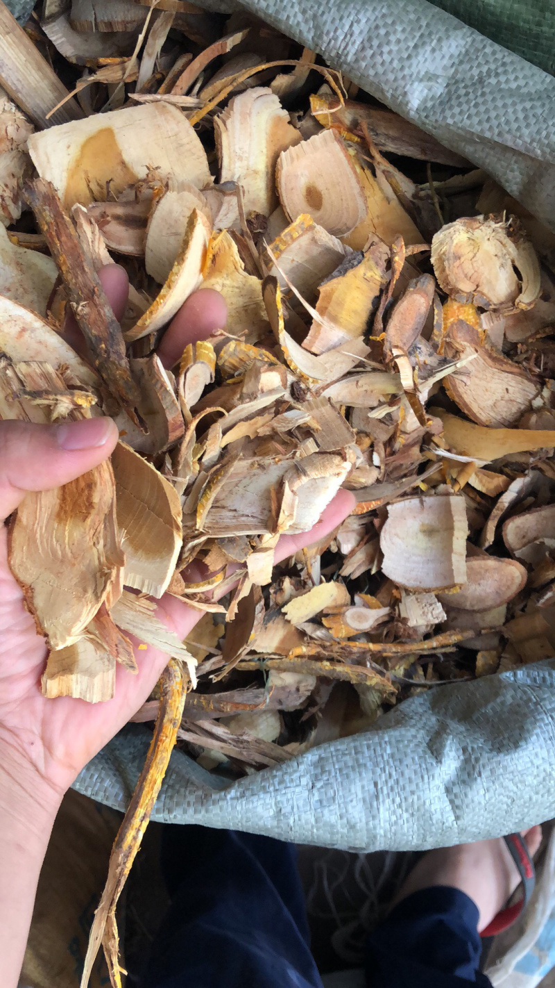 穿破石新货正宗野生货根部