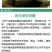 北京杂交满堂红萝卜种子青皮红心心里美萝卜籽大田用种