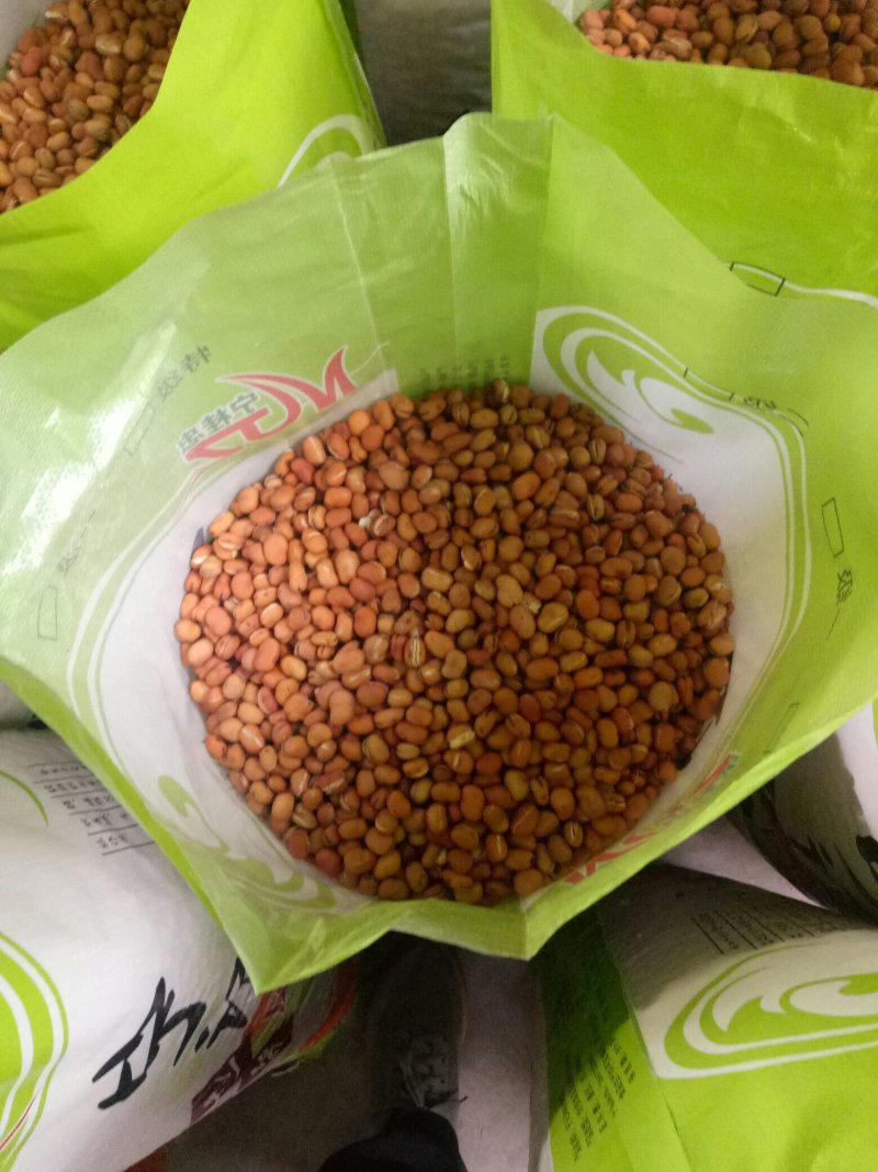 精选炒蚕豆