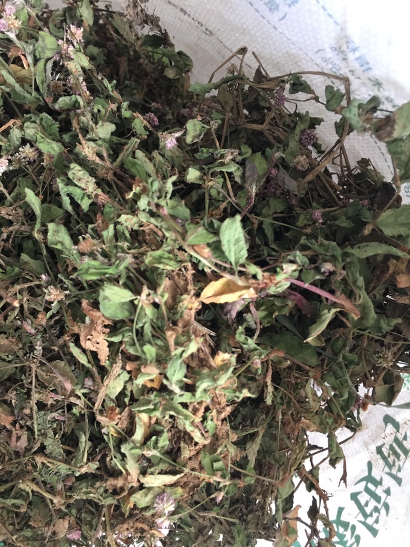 头花蓼，四季红，优质产品，产地直发，大货大货大货