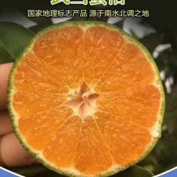 湖北丹江口优质桔子