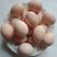 【农户养殖】新鲜鸡蛋土鸡蛋肉鸡鸡蛋柴鸡蛋常年大量供货。