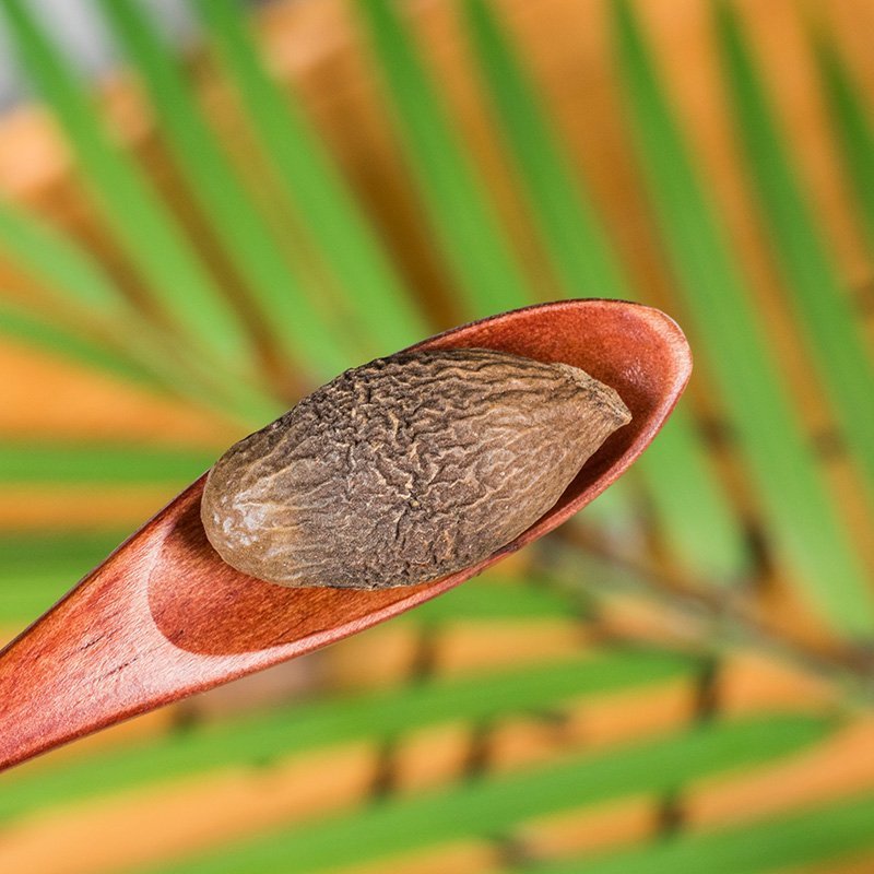 胖大海胖大海茶胖大海润喉茶护嗓灭火茶散装花草茶