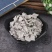 牡蛎块正品牡蛎壳中药材生牡蛎片牡蛎壳
