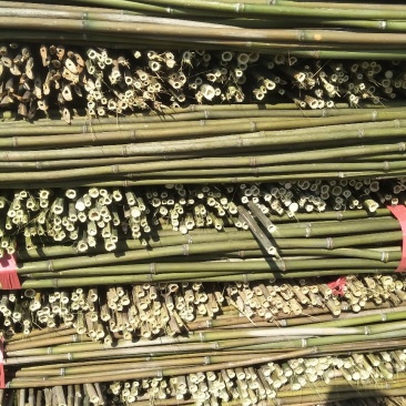 火龙果撑，豆角黄瓜架，西红柿架，山药架等各种菜架竹
