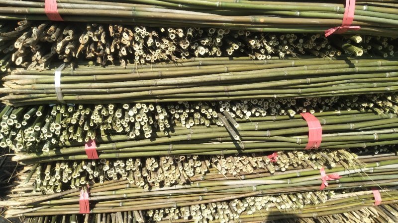 火龙果撑，豆角黄瓜架，西红柿架，山药架等各种菜架竹