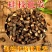 中药材野生桂枝特级正品桂芝天然新货