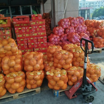 大量出售琯溪蜜柚