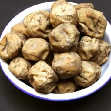 灰豆腐