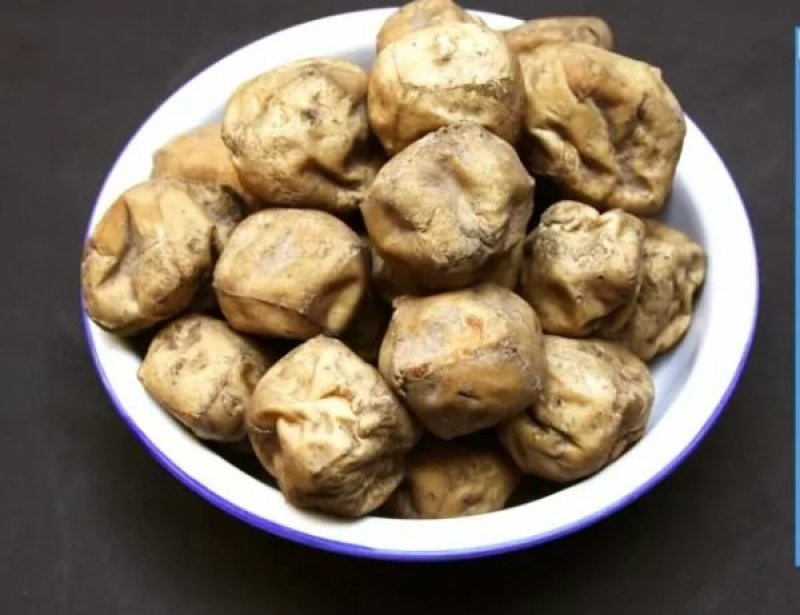 灰豆腐