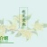 桂花树苗四季开花浓香好养的花6年苗特价