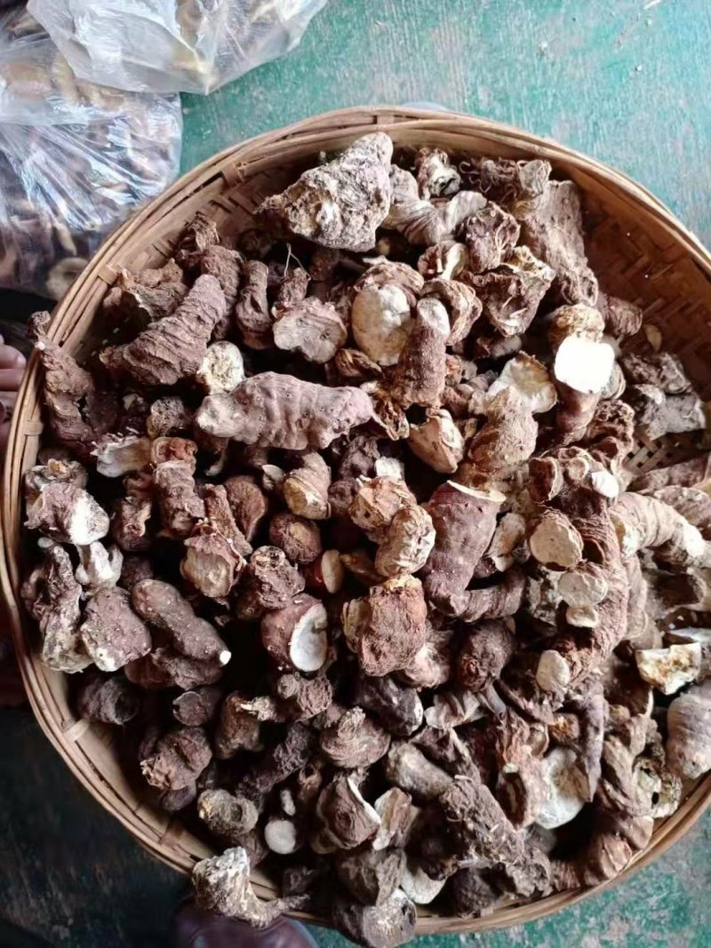 干重楼，粉质高杆滇重楼，大量供应