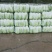 北京三号白菜4~6斤净菜大量供应山东肥城货发全国