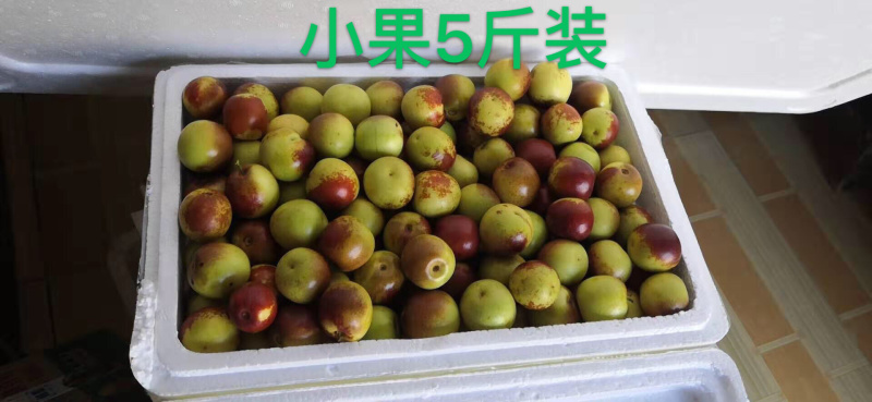 冬枣