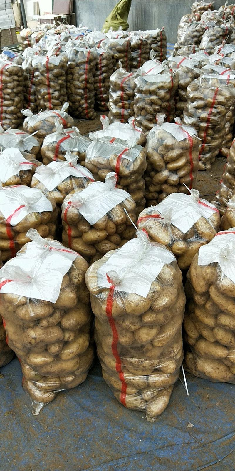 土豆批发产地直销品种规格全货源充足货源充足质量保证