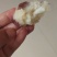 红皮白瓤口感香