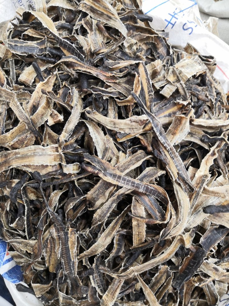无硫地龙半开全开各种规格中药材新货