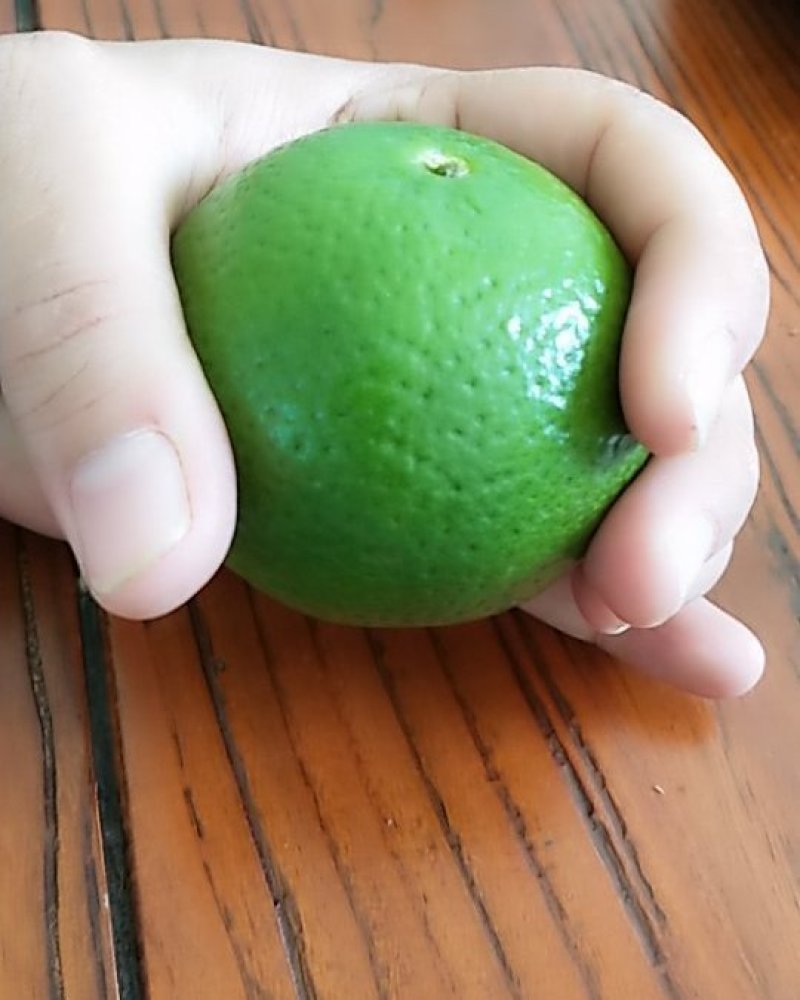 皇帝柑