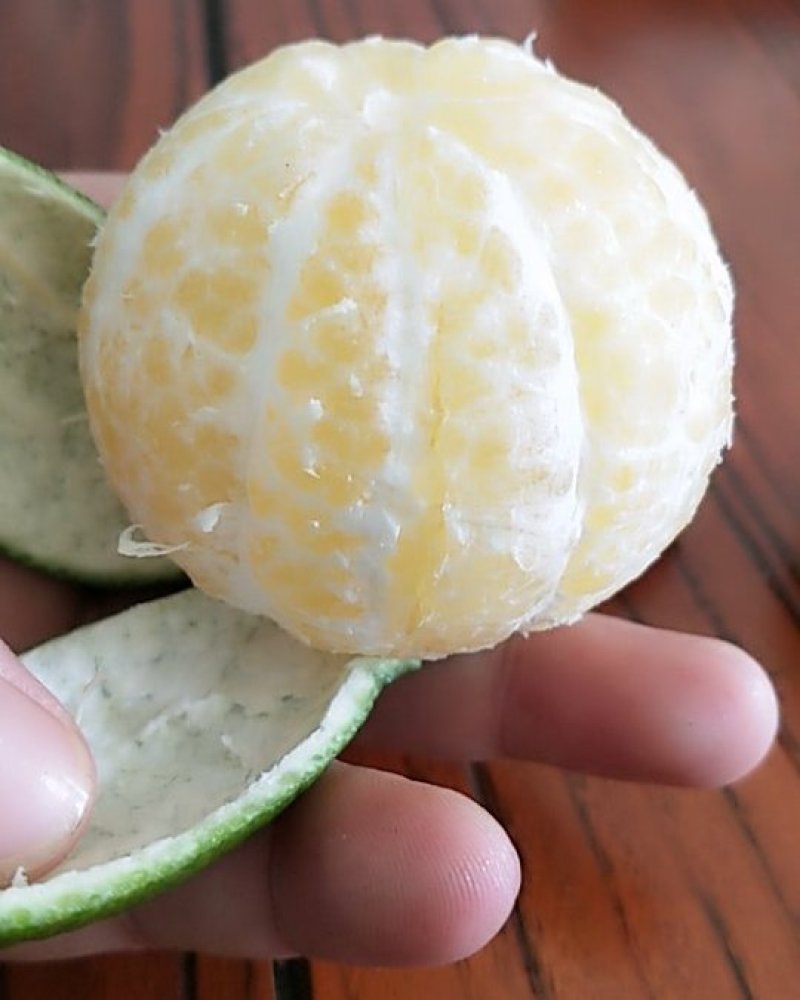 皇帝柑