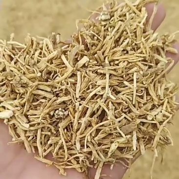 北龙胆草