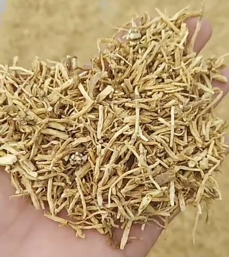 北龙胆草