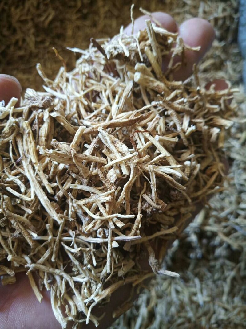 北龙胆草
