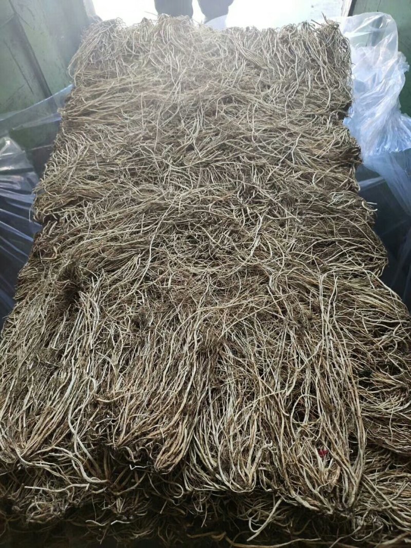 北龙胆草