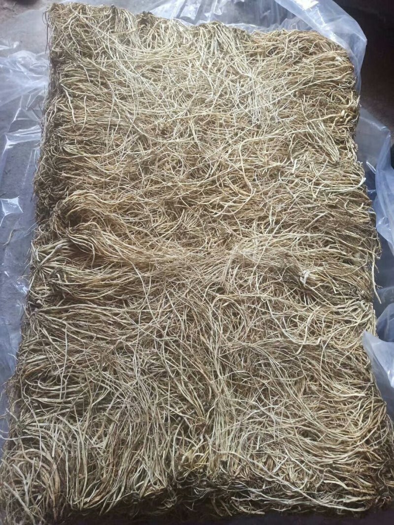北龙胆草